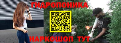 молекула духа Заводоуковск