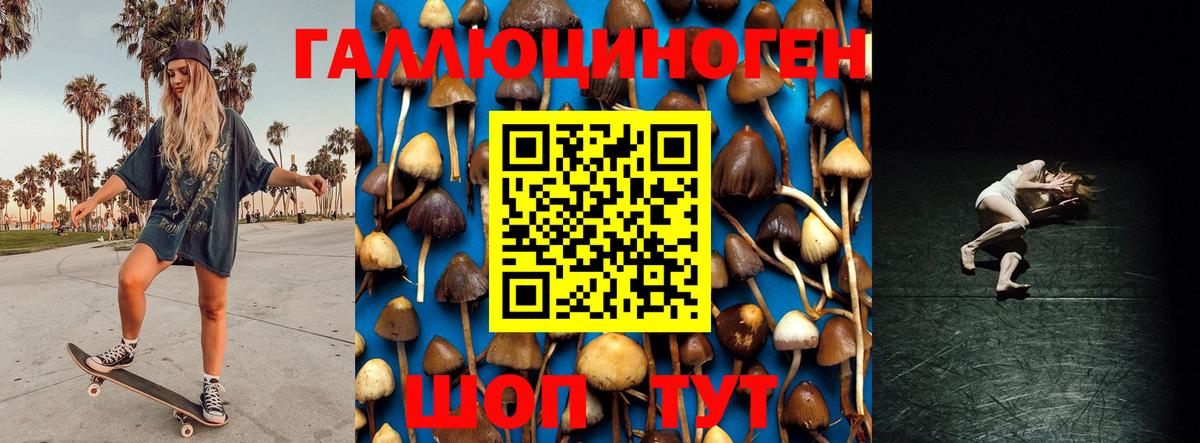 Галлюциногенные грибы Cubensis  сколько стоит  Менделеевск  Вход с VPN 